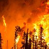 BC's terrifying new wildfire reality requires 'whole-of-society' approach, says university