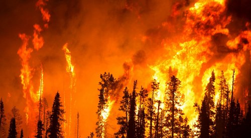 BC's terrifying new wildfire reality requires 'whole-of-society' approach, says university