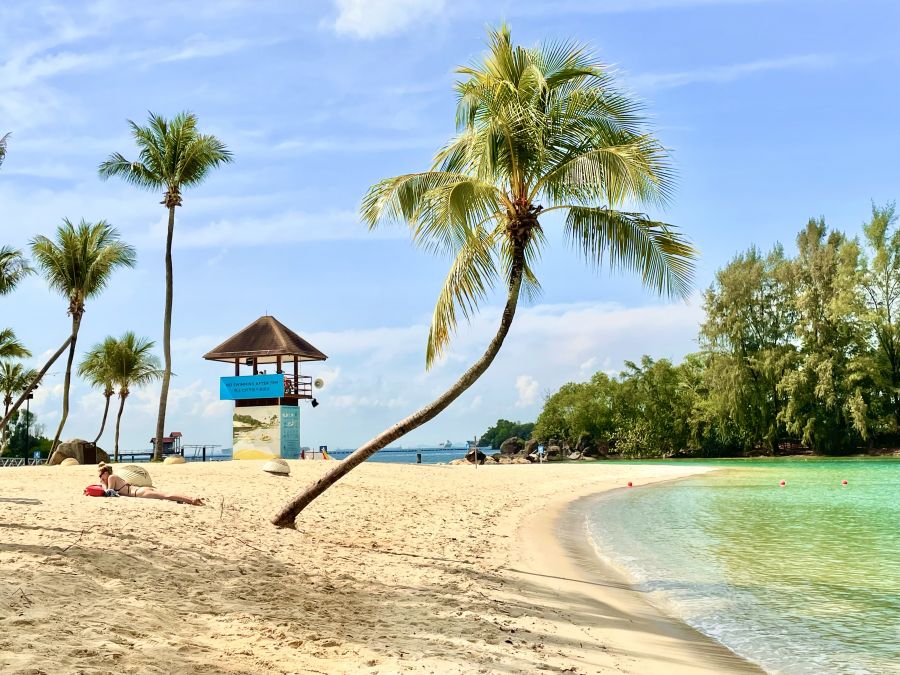 <who>Photo credit: Steve MacNaull/NowMedia Group</who>Booking a holiday to a sun destination today could help cheer you up.