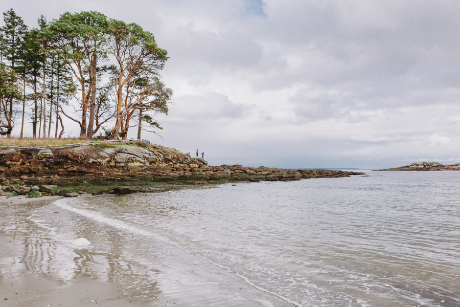 <who>Photo credit: Re:BC</who>The Southern Gulf Islands are made up of Salt Spring Galiano, Mayne, Pender and Saturna.
