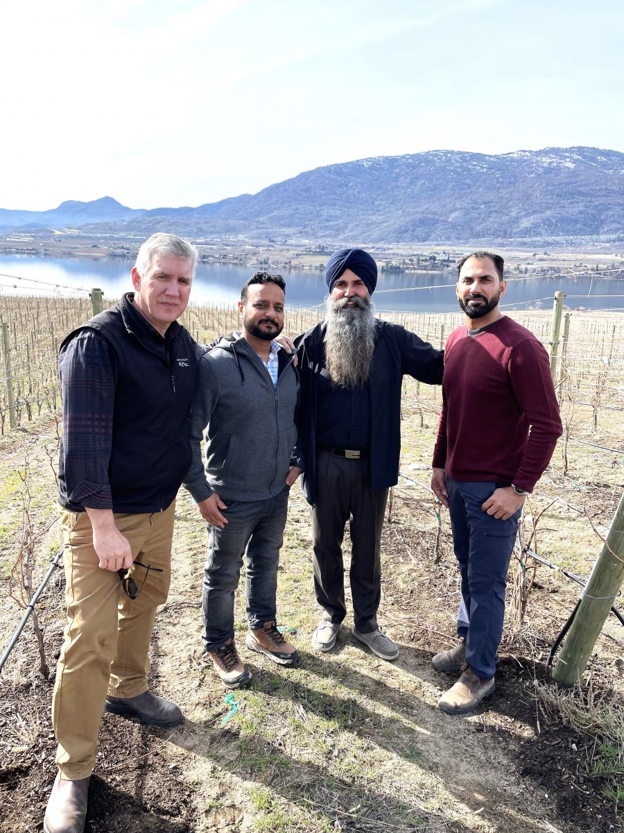 <who>Photo credit: NowMedia Group file</who>Mark Sheridan, left, is the president of Hester Creek Estate Winery in Oliver. He's pictured here with vineyard manager Iqbal Gill and grape grower brothers Sukhi and Balwinder Dhaliwal.