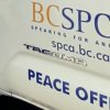 BC man sentenced for killing neighbour’s dog