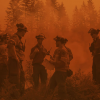 Union blasts Doug Ford for ‘mismanagement’ of forest firefighting efforts
