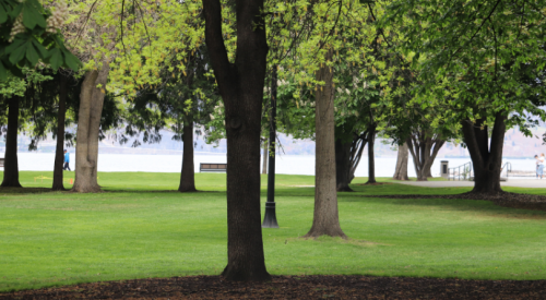 Kelowna weather: Sunny start to Mother’s Day, showers this evening