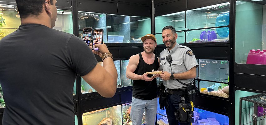 VIDEO: Abducted snake back safe and sound at the pet shop
